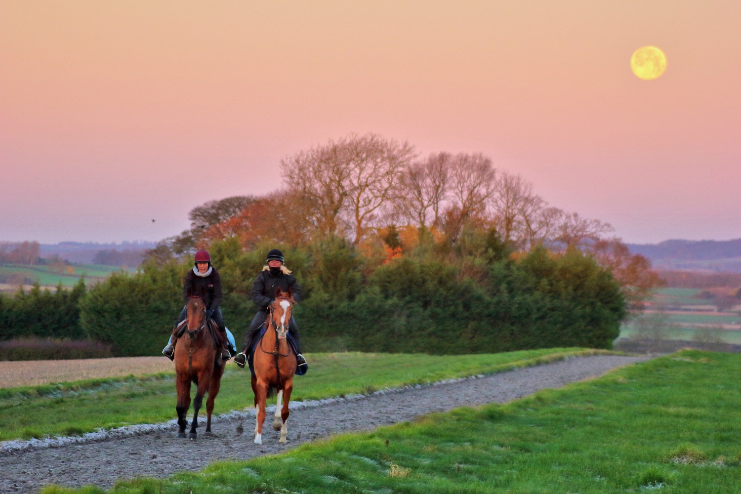Facilities at Mick & David Easterby Racing